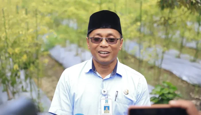 Sleman Dorong Pertanian Modern sebagai Pilar Ketahanan Pangan Masa Depan