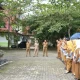 58 PPPK Terima SPMT di Kominfo Kuansing, Disiplin Kerja Jadi Sorotan Utama