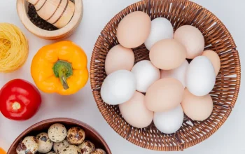Telur Ayam vs Telur Bebek Mana Lebih Sehat untuk Gaya Hidup Modern