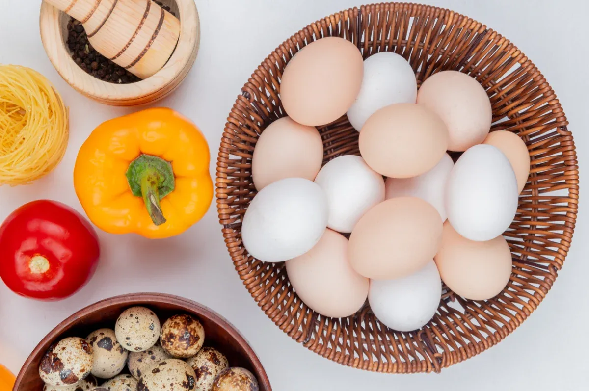 Telur Ayam vs Telur Bebek Mana Lebih Sehat untuk Gaya Hidup Modern