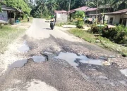 Jalan Nasional Somambawa–Teluk Dalam Rusak Parah, Warga Desak Perbaikan Total