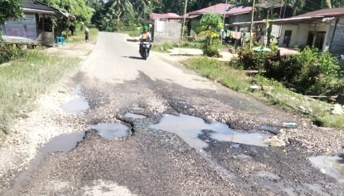 Jalan Nasional Somambawa-Teluk Dalam Rusak Parah, Warga Desak Perbaikan Total
