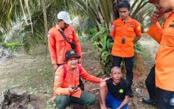 Lansia Hilang di Kebun Sawit Rokan Hulu Ditemukan Selamat Setelah Dua Hari Pencarian