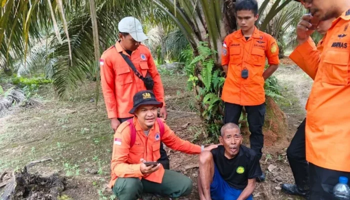 Lansia Hilang di Kebun Sawit Rokan Hulu Ditemukan Selamat Setelah Dua Hari Pencarian