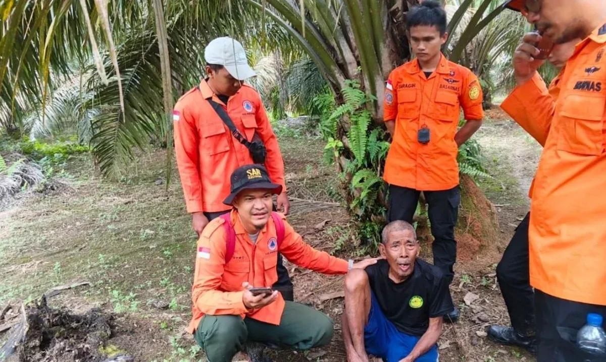 Lansia Hilang di Kebun Sawit Rokan Hulu Ditemukan Selamat Setelah Dua Hari Pencarian