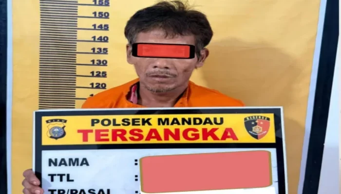 Polsek Mandau Bekuk Bapak Tiri Pelaku Persetubuhan Anak di Desa Pamesi