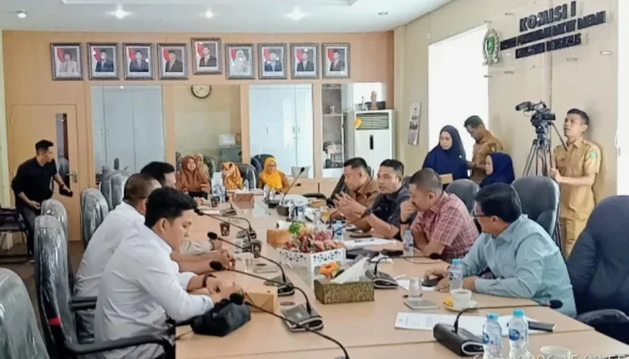 Pemadaman Listrik Bengkalis: DPRD Tuntut Transparansi, Solusi PLN dan Progres Kabel Laut