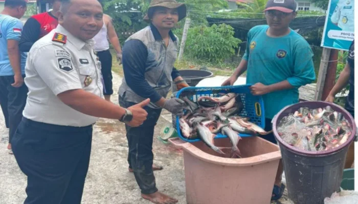 Lapas Bengkalis Panen 266 Kg Ikan Patin, 200 Kilogram Disalurkan untuk Program MBG