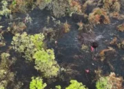 Karhutla Bengkalis Belum Padam, Satu Titik Api Jadi Fokus Utama Tim Gabungan