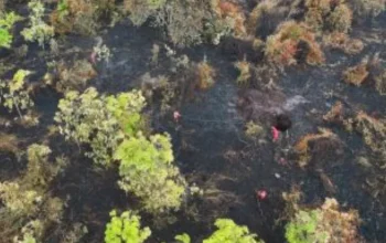 Karhutla Bengkalis Belum Padam, Satu Titik Api Jadi Fokus Utama Tim Gabungan