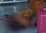 Heboh! Apeng Warga Tionghoa