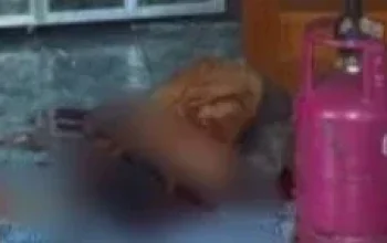 Heboh! Apeng Warga Tionghoa