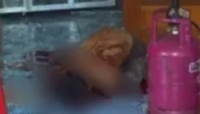 Heboh! Apeng Warga Tionghoa Ditemukan Tewas di Penawar Darat