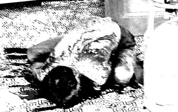 Kisah Tragis Berancah: Pedagang Ditemukan Tewas dengan Luka Bacok di Dada