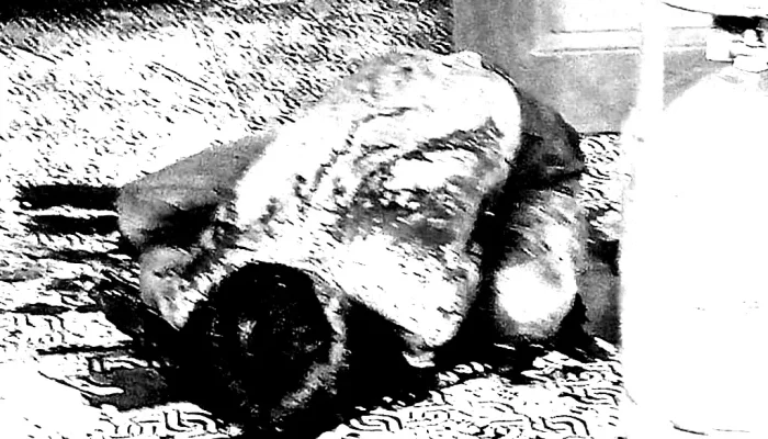 Kisah Tragis Berancah: Pedagang Ditemukan Tewas dengan Luka Bacok di Dada