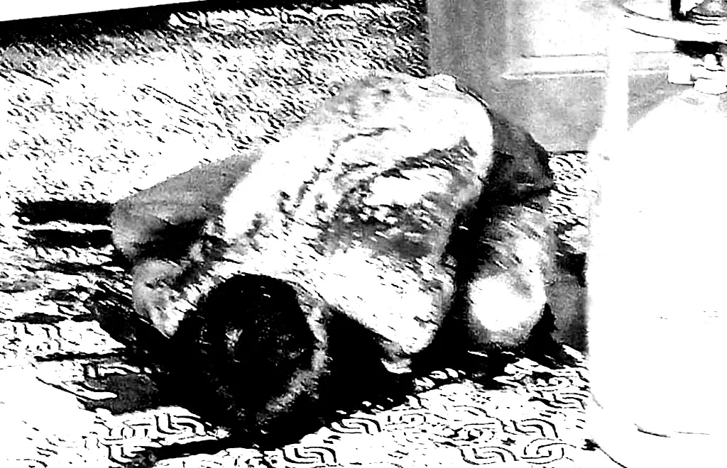 Kisah Tragis Berancah: Pedagang Ditemukan