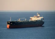 CPO Jadi Penopang, Ekspor Riau Awal 2026 Tumbuh