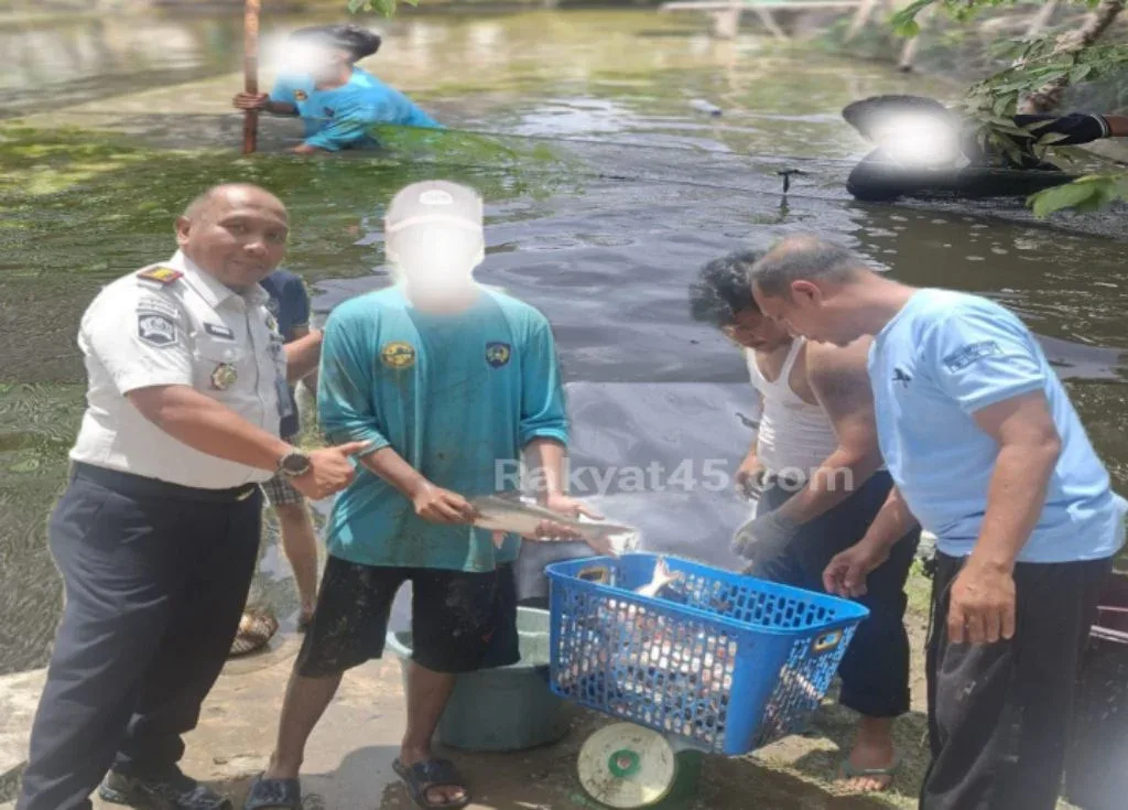 Panen Ikan hingga UMKM