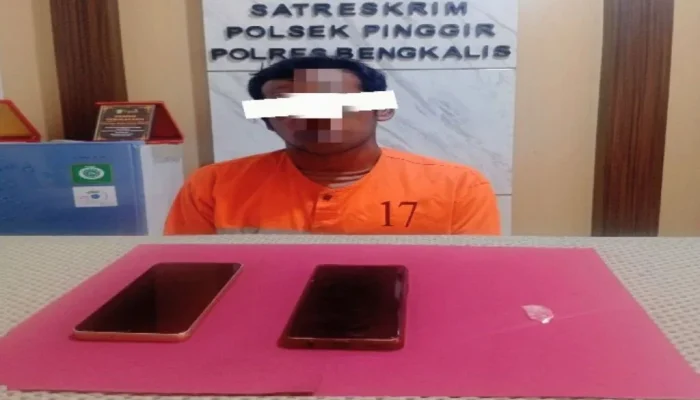 Transaksi Sabu Terhenti di Pinggir, Polisi Ringkus Satu Pelaku