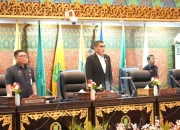 DPRD Riau Bentuk Pansus LKPJ 2025, Androy Ade Rianda Ketua