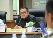 Antrean Roro Dumai-Rupat Picu Anjloknya Harga Sawit, DPRD Riau Desak Prioritas Angkutan