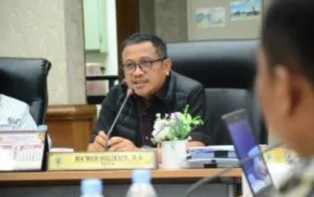 Antrean Roro Dumai–Rupat Picu Anjloknya Harga Sawit