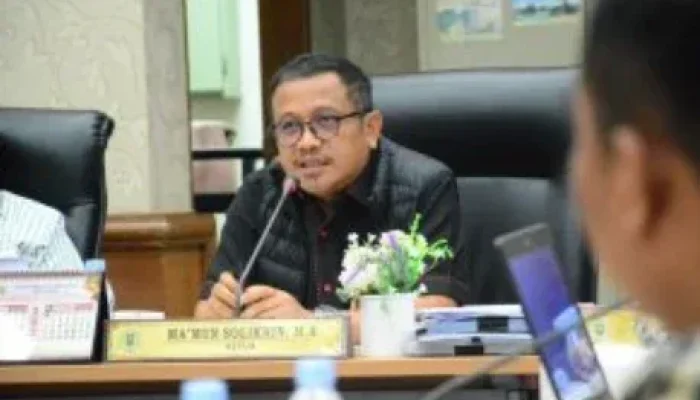 Antrean Roro Dumai-Rupat Picu Anjloknya Harga Sawit, DPRD Riau Desak Prioritas Angkutan