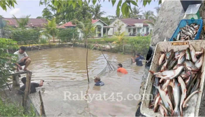 Panen Ikan Patin, Lapas Bengkalis Perkuat Pembinaan Berbasis Kemandirian