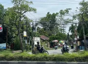 Pelebaran Jalan Bangau Sakti Dimulai 2026