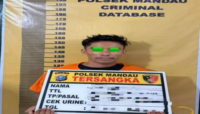 Konseling Sekolah Bongkar Kasus Persetubuhan Anak di Bawah Umur Mandau
