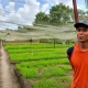 Hijau di Bawah Sayap Mustang, Kisah Petani Perantau yang Menumbuhkan Harapan di Pekanbaru