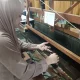 Kesabaran Ditanam Dalam Setiap Helai Benang untuk Menjaga Tenun Melayu