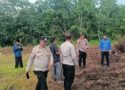 Jagung Harapan dari Kelebuk; Polsek Bengkalis dan Pemdes Matangkan Lahan Ketahanan Pangan