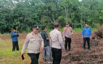 Jagung Harapan dari Kelebuk; Polsek Bengkalis dan Pemdes Matangkan Lahan Ketahanan Pangan
