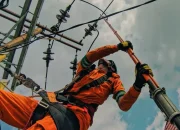 Blackout Sumatera, PLN Ungkap Gangguan Transmisi di Jambi