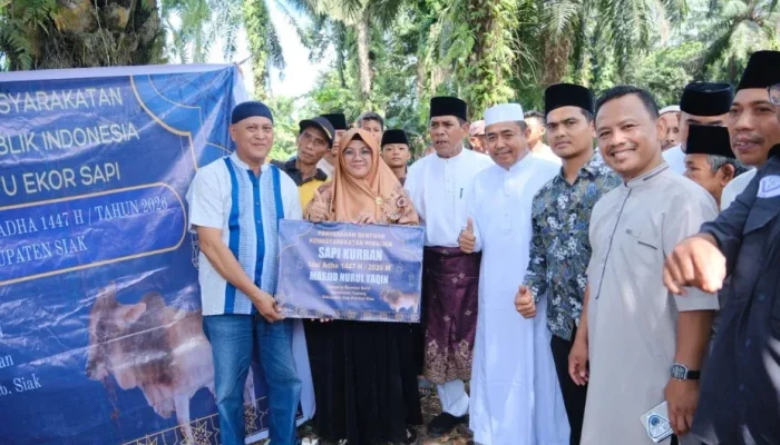 Bupati Afni Serahkan Sapi Kurban Presiden Prabowo untuk Warga Siak