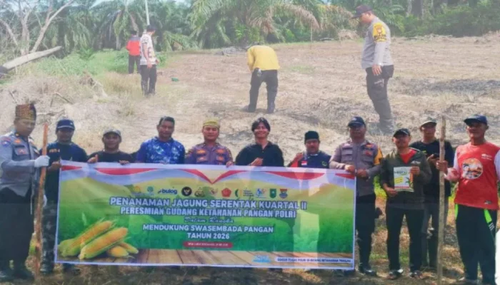 Polsek Rokan IV Koto Turun ke Ladang, Tanam Jagung Bersama Warga