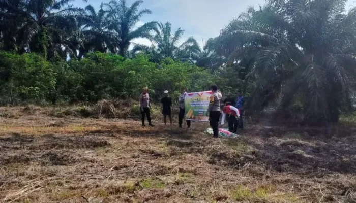 Polsek Rokan IV Koto Tanam Jagung, Ketahanan Pangan Nasional Dimulai dari Desa