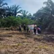 Polsek Rokan IV Koto Tanam Jagung, Ketahanan Pangan Nasional Dimulai dari Desa