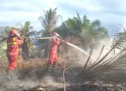 Karhutla Riau Meluas, Manggala Agni Fokus Padamkan Api di Siak, Rohil dan Pelalawan