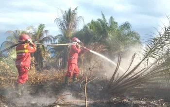 Karhutla Riau Meluas, Manggala Agni Fokus Padamkan Api di Siak, Rohil dan Pelalawan