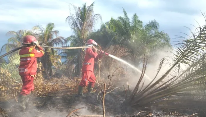 Karhutla Riau Meluas, Manggala Agni Fokus Padamkan Api di Siak, Rohil dan Pelalawan