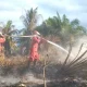 Karhutla Riau Meluas, Manggala Agni Fokus Padamkan Api di Siak, Rohil dan Pelalawan
