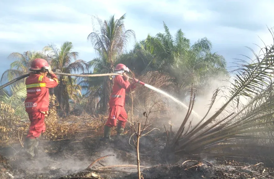 Karhutla Riau Meluas, Manggala Agni Fokus Padamkan Api di Siak, Rohil dan Pelalawan