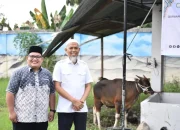 PMRJ Serahkan Sapi Qurban untuk Masyarakat Dumai