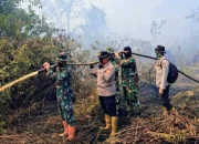 Tim Gabungan Masih Padamkan Karhutla di Rupat, Asap Masih Terpantau di Tanjung Kapal