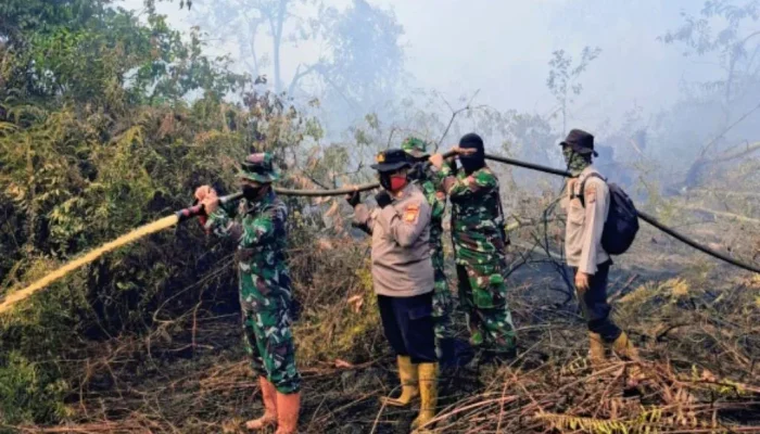 Tim Gabungan Masih Padamkan Karhutla di Rupat, Asap Masih Terpantau di Tanjung Kapal
