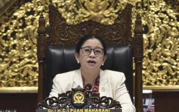 Puan Maharani Desak Pemerintah Perkuat Perlindungan Warga dari Dampak Karhutla Riau