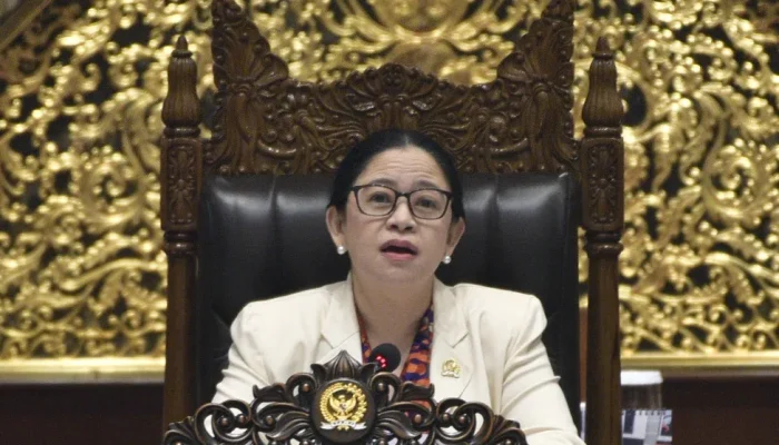 Puan Maharani Desak Pemerintah Perkuat Perlindungan Warga dari Dampak Karhutla Riau