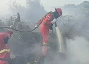 Karhutla Muncul di Pekaitan, Manggala Agni Siagakan Tambahan Personel ke Rohil